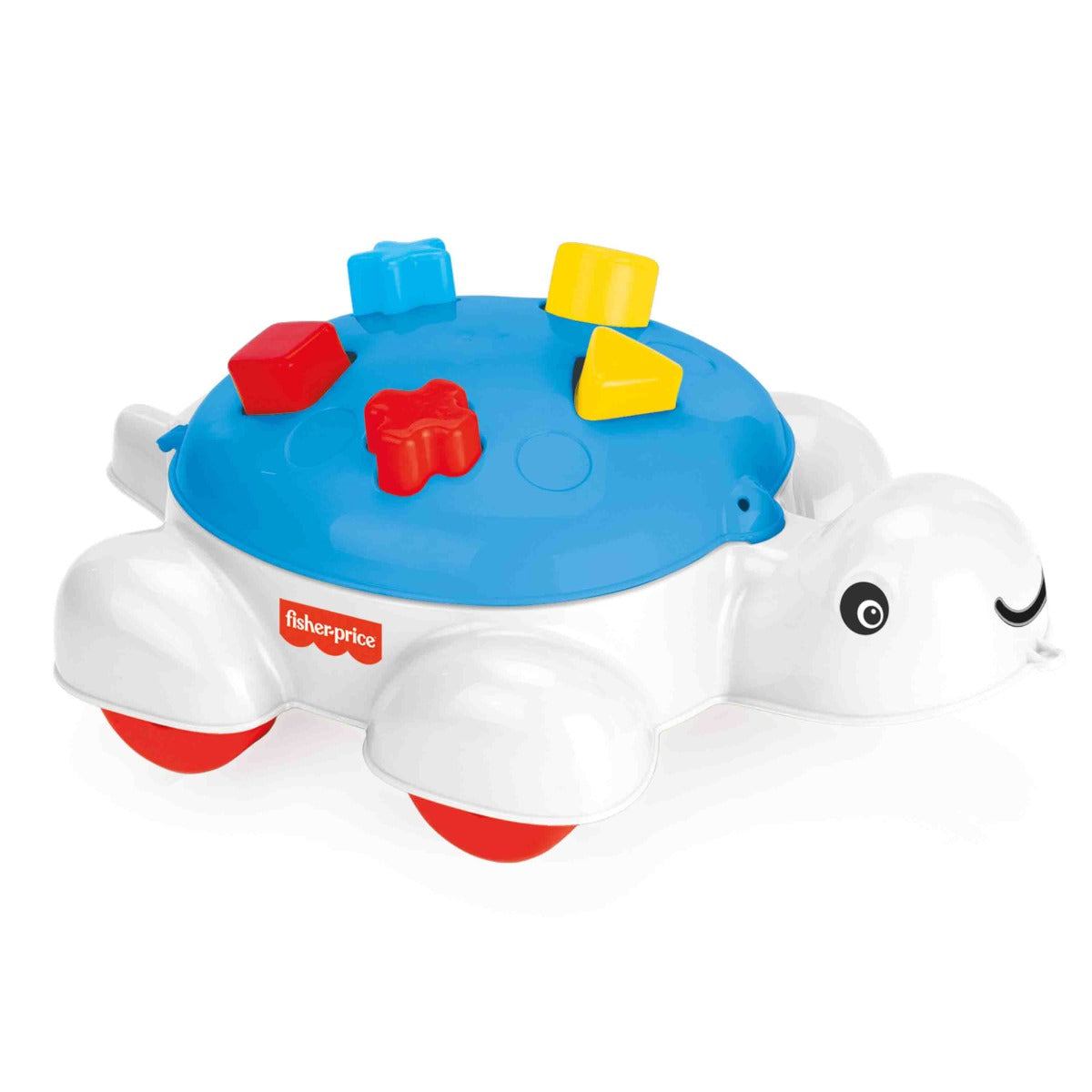 Interactive Turtle Themed Shape Sorter Front View