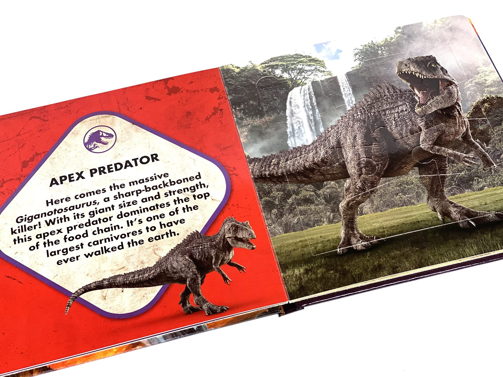 Jurassic World My First Puzzle Phidal edition