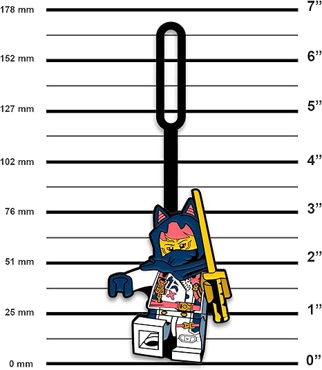 Lego IQ Ninjago Bag Tag Sora Size