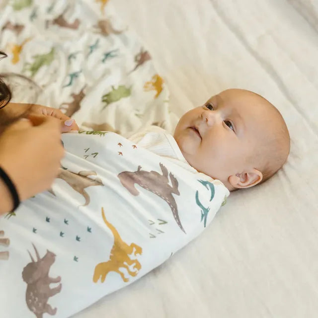 Little Unicorn Stretch Knit Swaddle 2 Pack Dino Pals Little Unicorn Yallatoys