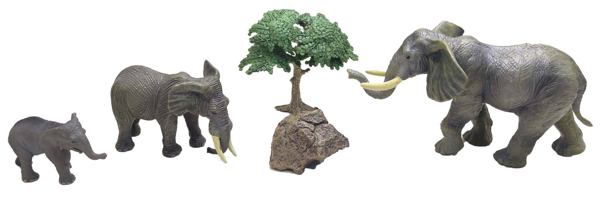 Model Animal Series Front View