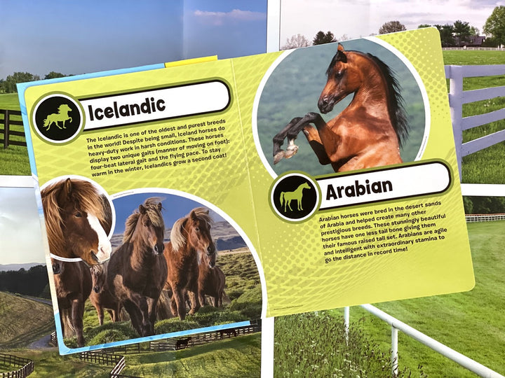 My Busy Books World of Horses