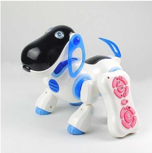 New Boy Smart Dog
