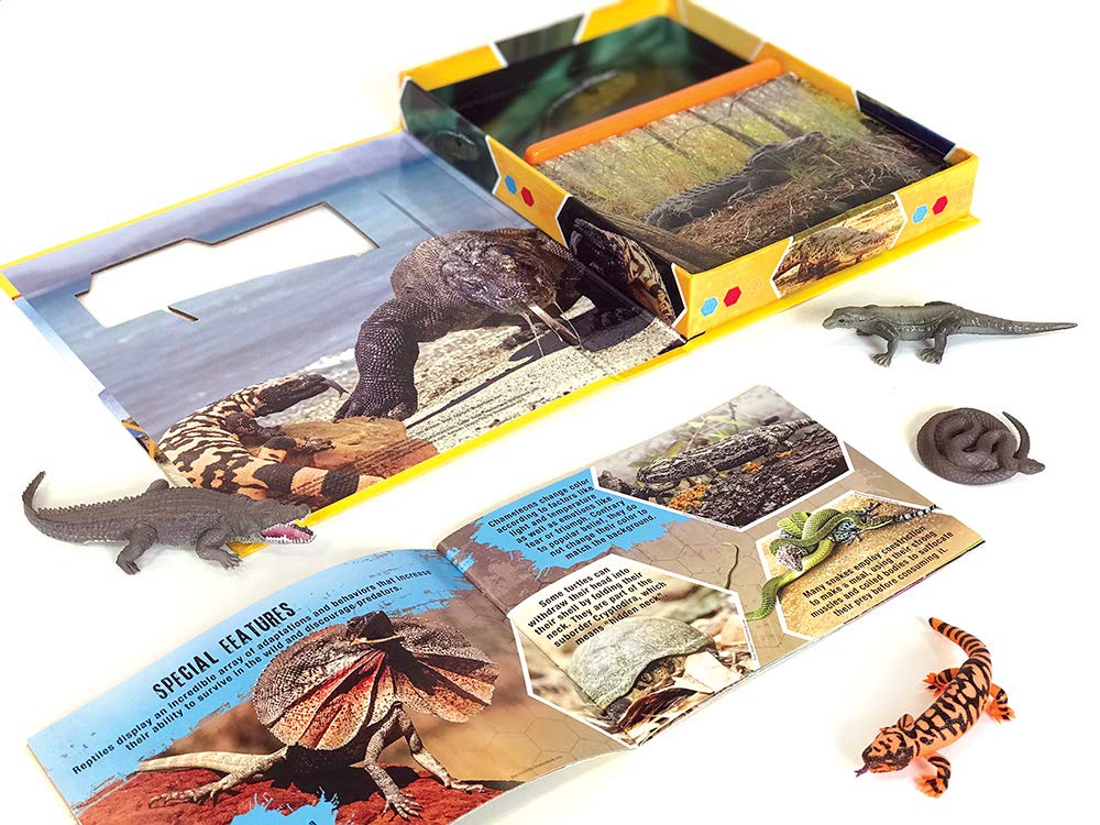 Pocket Explorers educational set