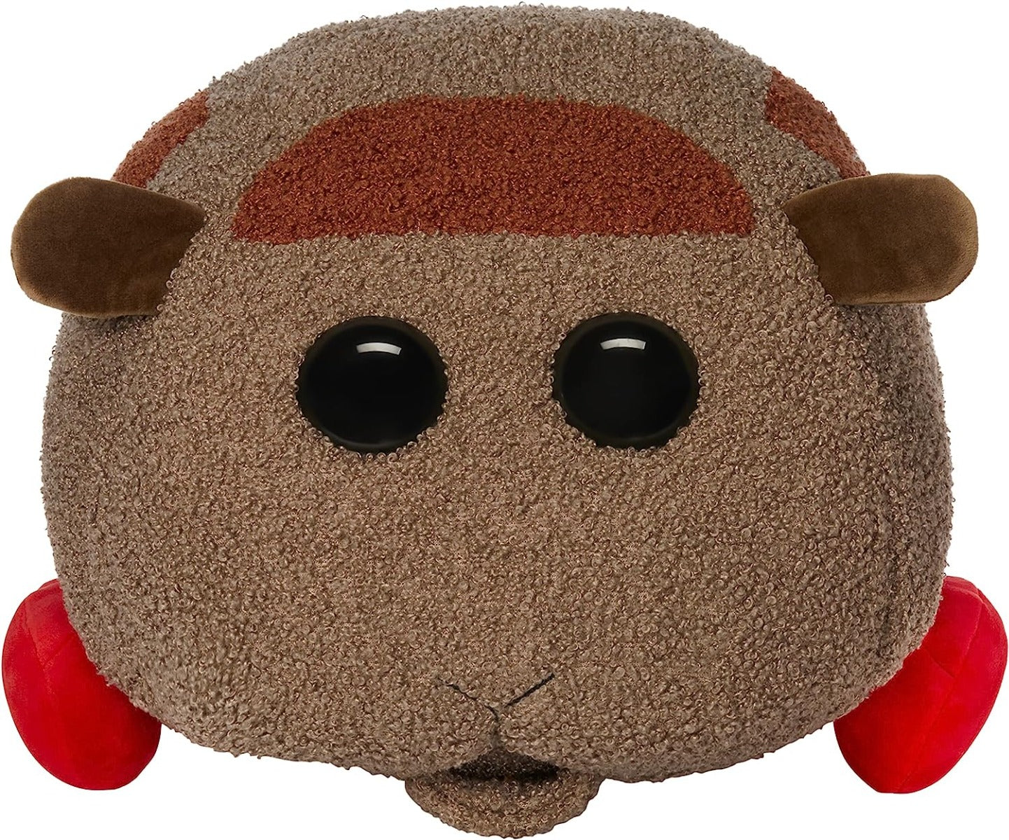 Pui Pui Molcar Teddy Large Display View
