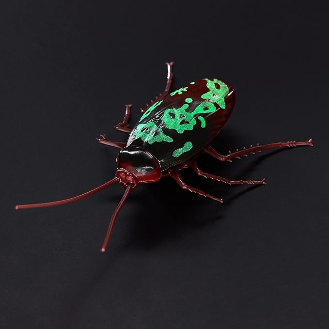 Realistic Robotic Cockroach Front View