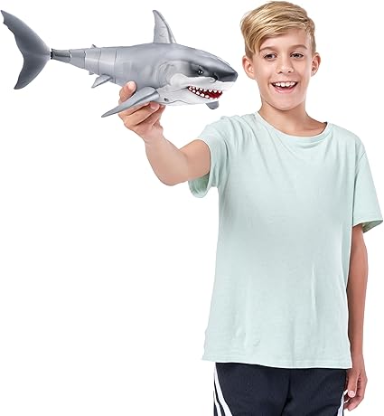Robotic Swimming Shark Front View