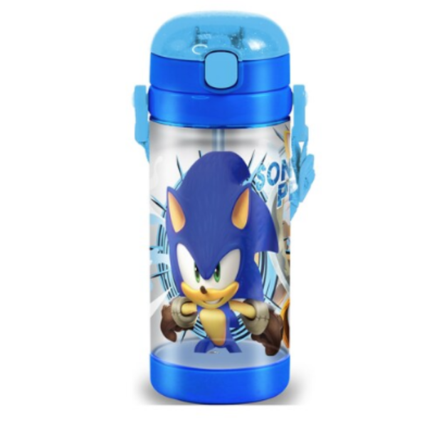 Sonic The Hedgehog Premium Square Bottle