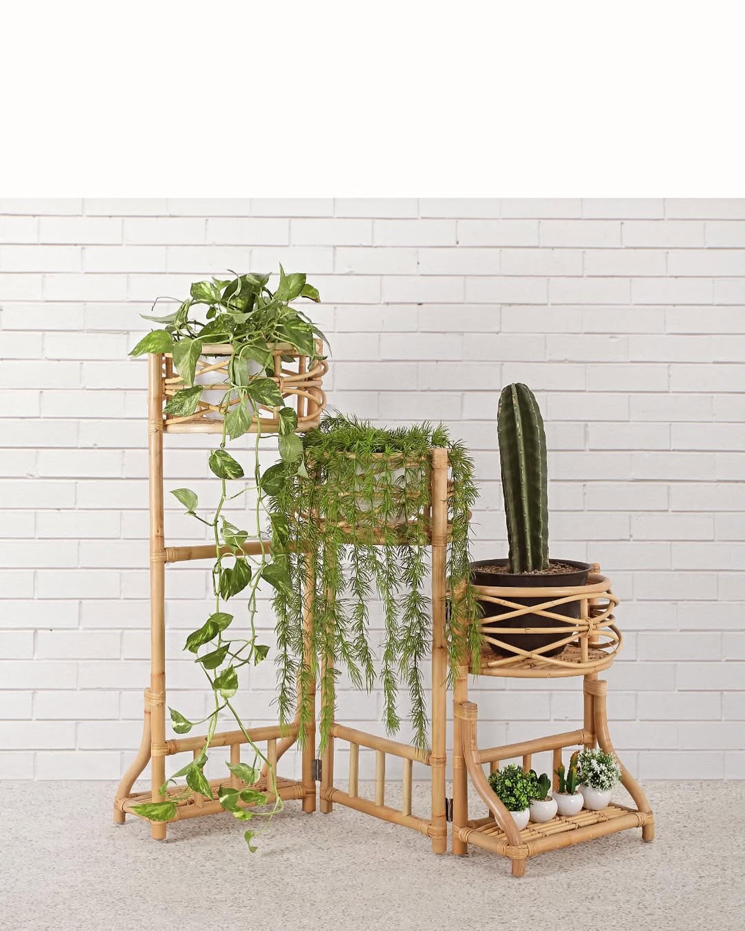 Cuddle Arne Folding Planter Cuddle Yallatoys
