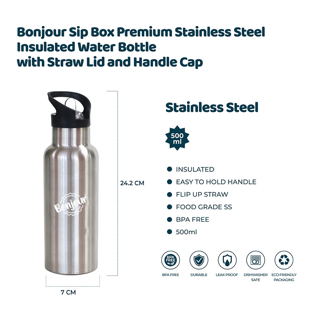 Sleek Silver Stainless Steel School Bottle