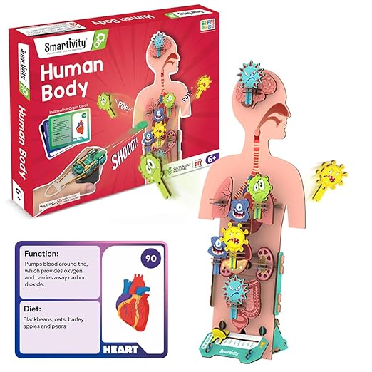 Smartivity Human Body DIY STEM kit