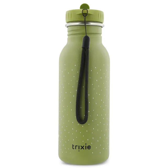 Stainless Steel Mr Dino Kids Bottle