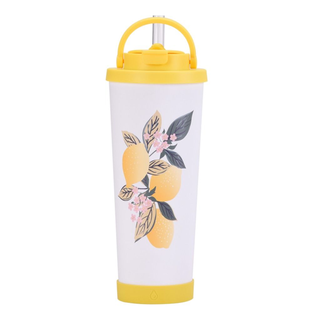 Tyeso Citrus Tumbler with Straw and Handle 830ml