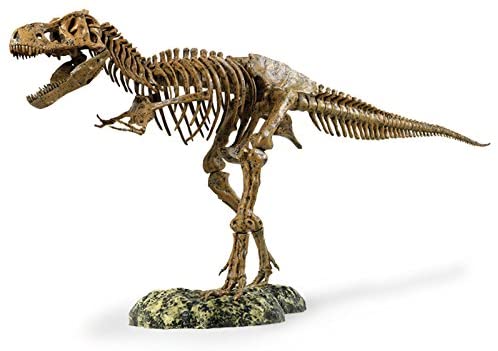Tyrannosaurus Rex Skeleton Model Kit