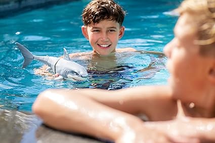 Water Activated Shark Toy Box