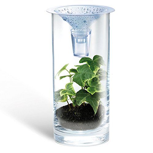 Water Filtration Experiment