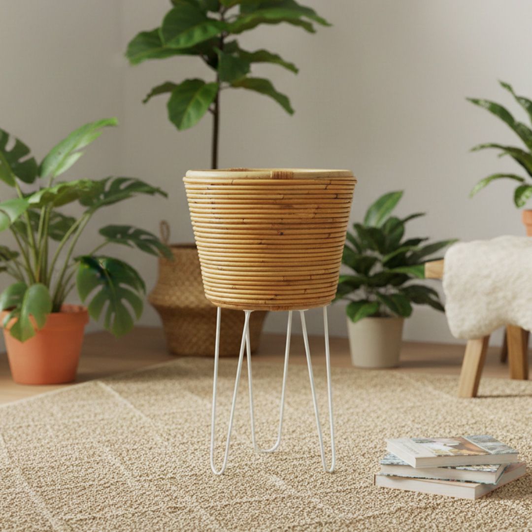 Cuddle Arden  Planter Cuddle Yallatoys