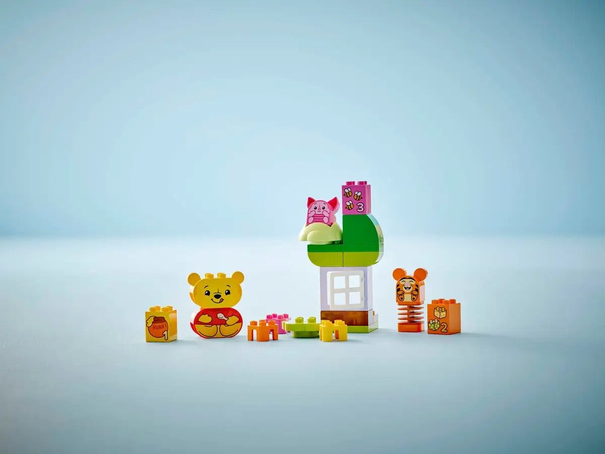 Winnie the Pooh Birthday Pieces