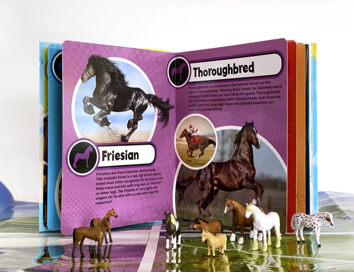 World of Horses My Busy Book