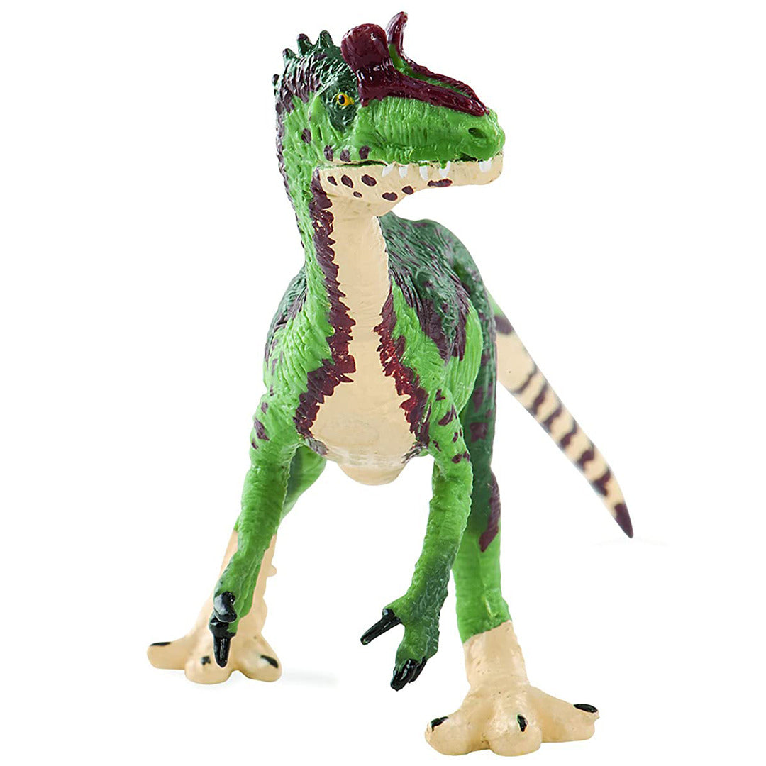 Buy Terra Cryolophosaurus Dinosaur Toy | Yallatoys.com