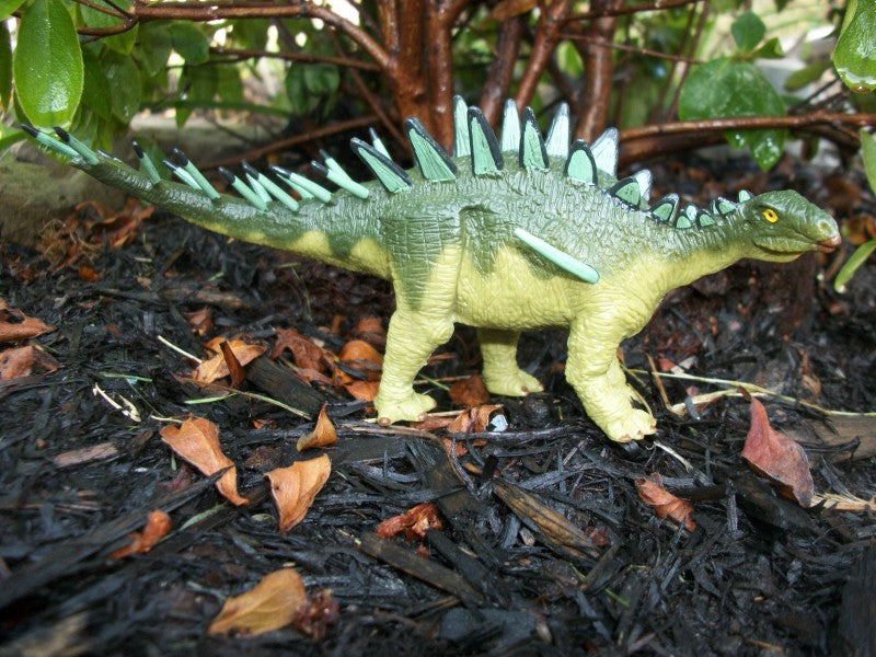 Buy Terra Dacentrurus Dinosaur Toy | Yallatoys.com