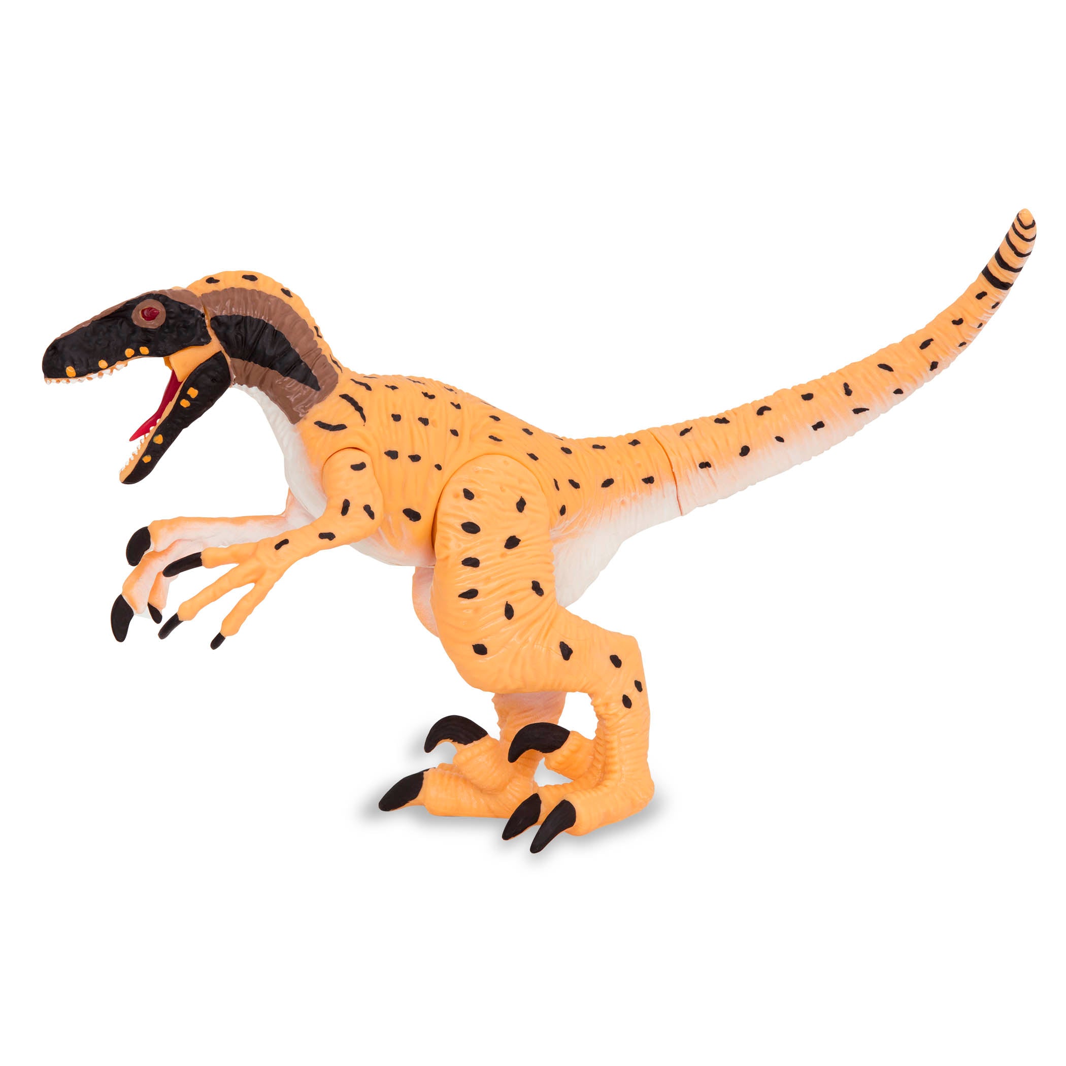 Buy Electronic Utahraptor | Yallatoys.com