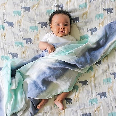 Aden + Anais Silky Soft Dream Blanket Expedition aden + anais Yallatoys