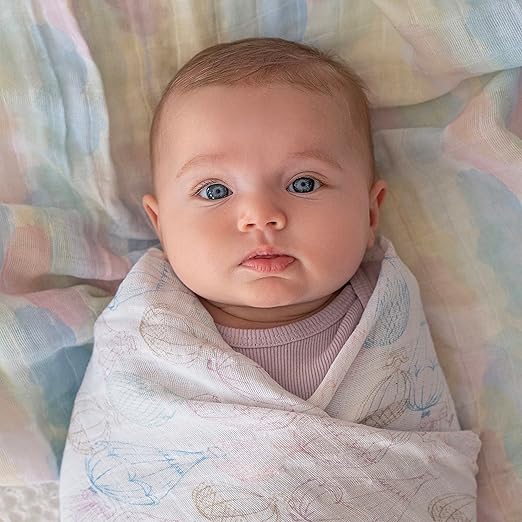 Aden + Anais Muslin Large Swaddles Above The Clouds 2pcs aden + anais Yallatoys