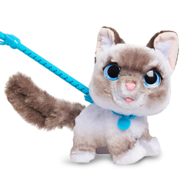 Buy FurReal Wag A Lots Kitten | Yallatoys.com