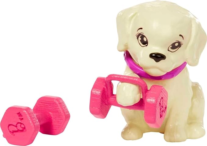 Buy Barbie Wellness Doll Workout | Yallatoys.com