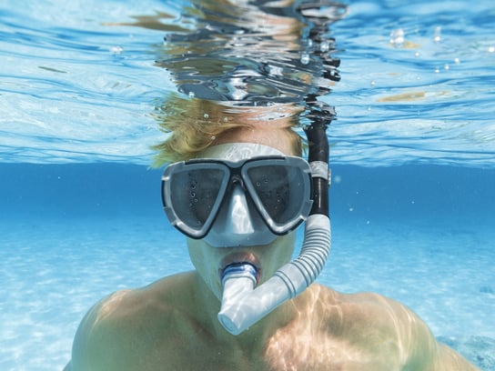 Buy Bestway Dominator Snorkel Adult Mask Grey | Yallatoys.com