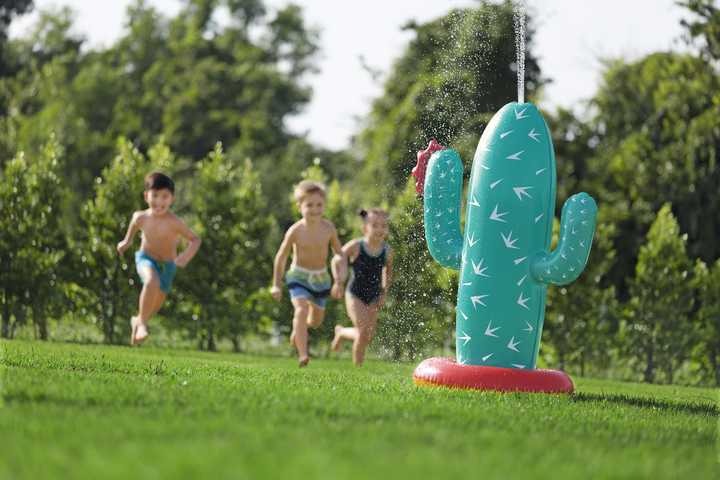 Buy Bestway Cactus Oasis Sprinkler | Yallatoys.com