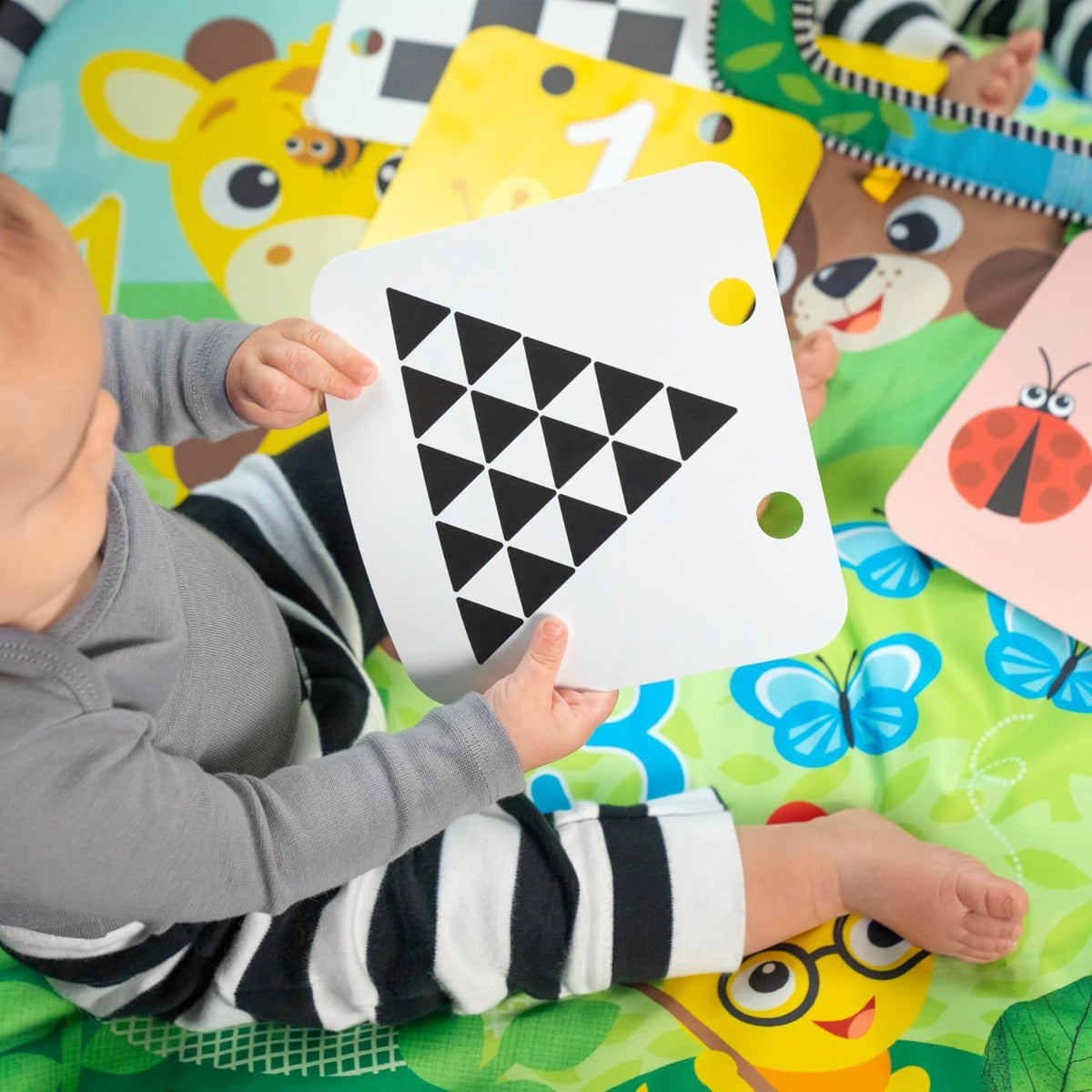 Buy Baby Einstein Tummy Time Mat And Mirror Set Discovery Garden | Yallatoys.com