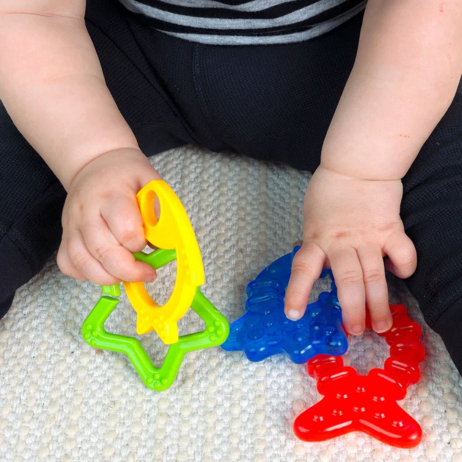 Buy Baby Einstein Ocean Explorers Cool Critters Teether Set | Yallatoys.com