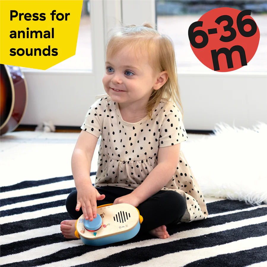 Buy Baby Einstein Discovery Radio Toy Radio | Yallatoys.com