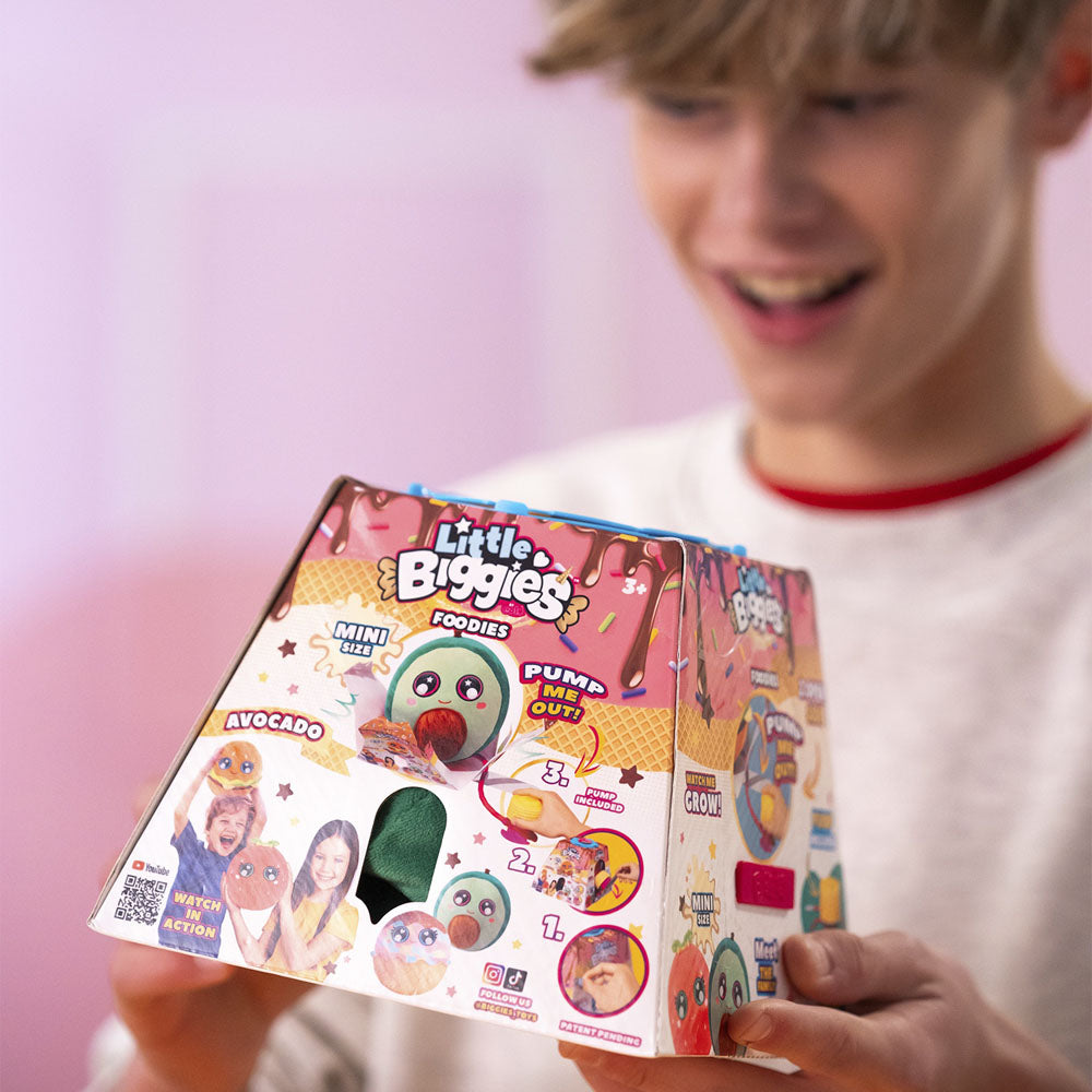 Buy Biggies Inflatable Little Biggies Ice Cream | Yallatoys.com