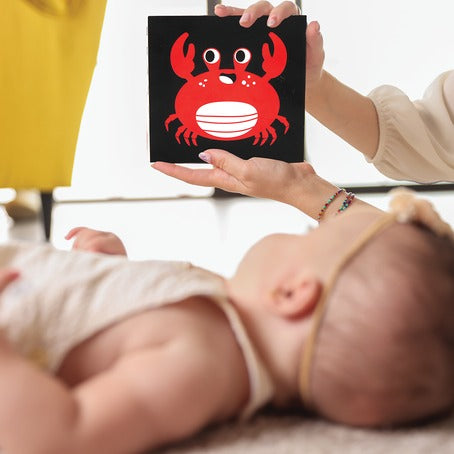 Buy Bimbly Montessori Box The Awakening Of Senses (0-6 Months) | Yallatoys.com