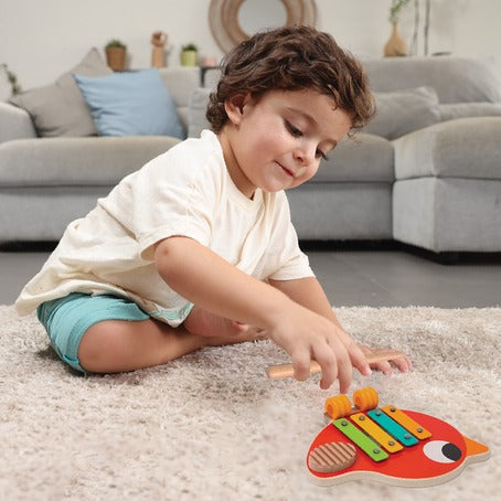 Buy Bimbly Montessori Box Learning Set Active Explorer  | Yallatoys.com