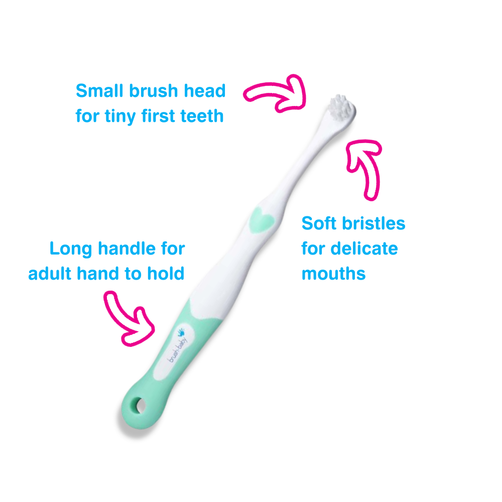 Brush Baby First Brush Teether  Set Brush Baby Yallatoys