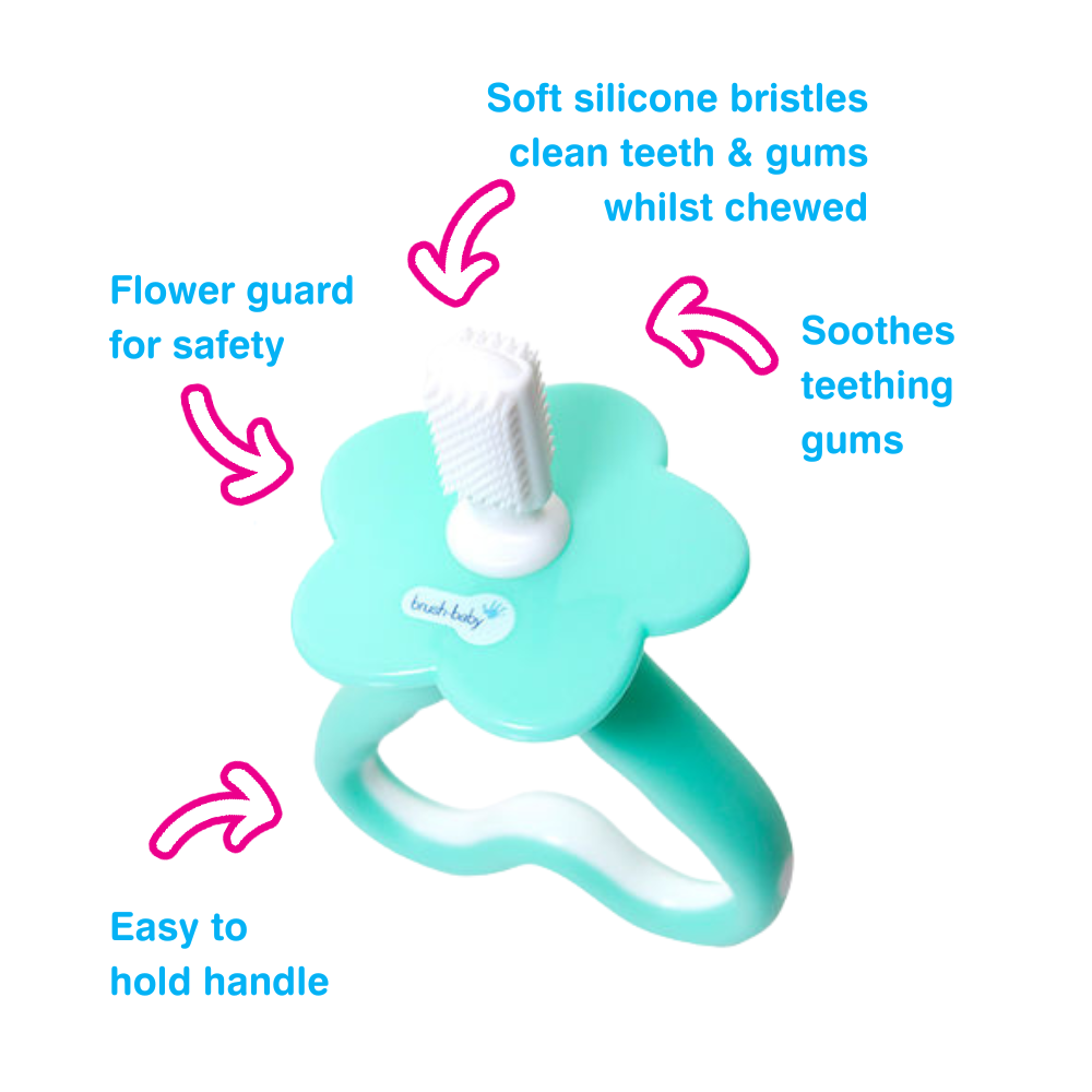 Brush Baby First Brush Teether  Set Brush Baby Yallatoys