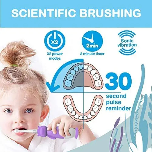 Brush Baby New Wildone Hippo Rechargeable Toothbrush Brush Baby Yallatoys