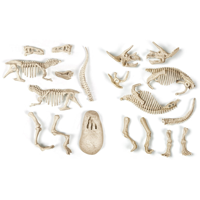 Buy Clementoni Science & Play Archeofun T-Rex Glow in The Dark Scientific Dinosaur Kit | Yallatoys.com