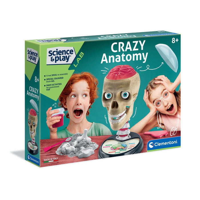 Buy Clementoni Science & Play Crazy Anatomy Scientific Kit | Yallatoys.com