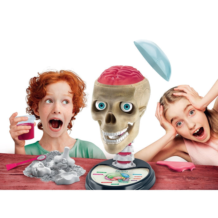 Buy Clementoni Science & Play Crazy Anatomy Scientific Kit | Yallatoys.com