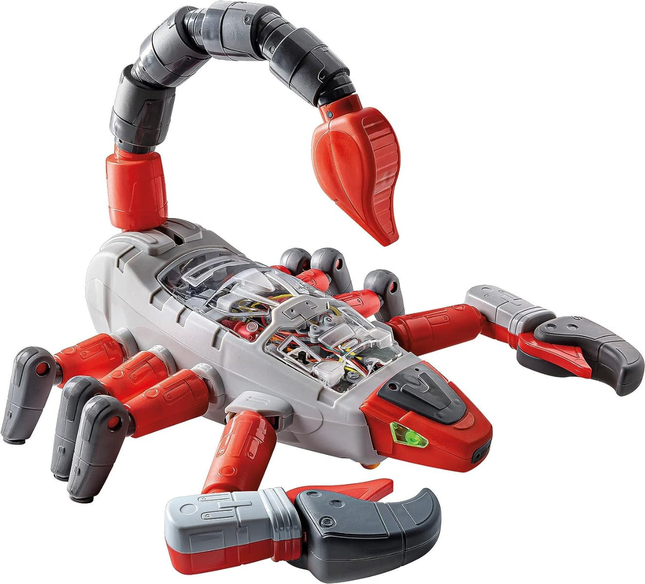 Buy Clementoni Science and Play Robotics Scorpion Robot | Yallatoys.com