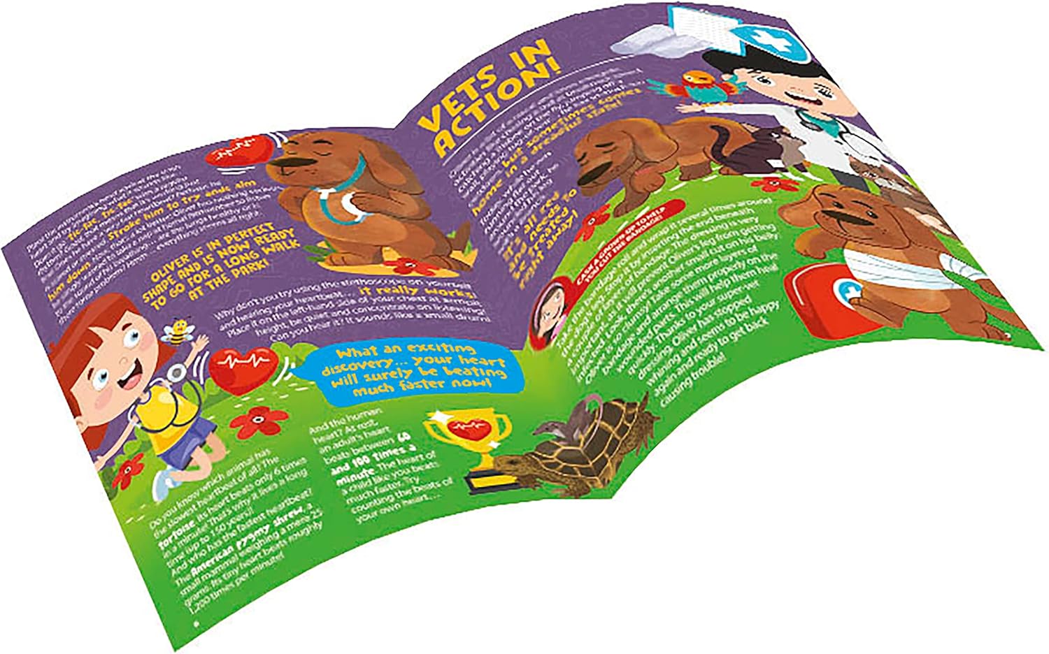 Buy Clementoni Vet Apprentices Experiment Kit | Yallatoys.com