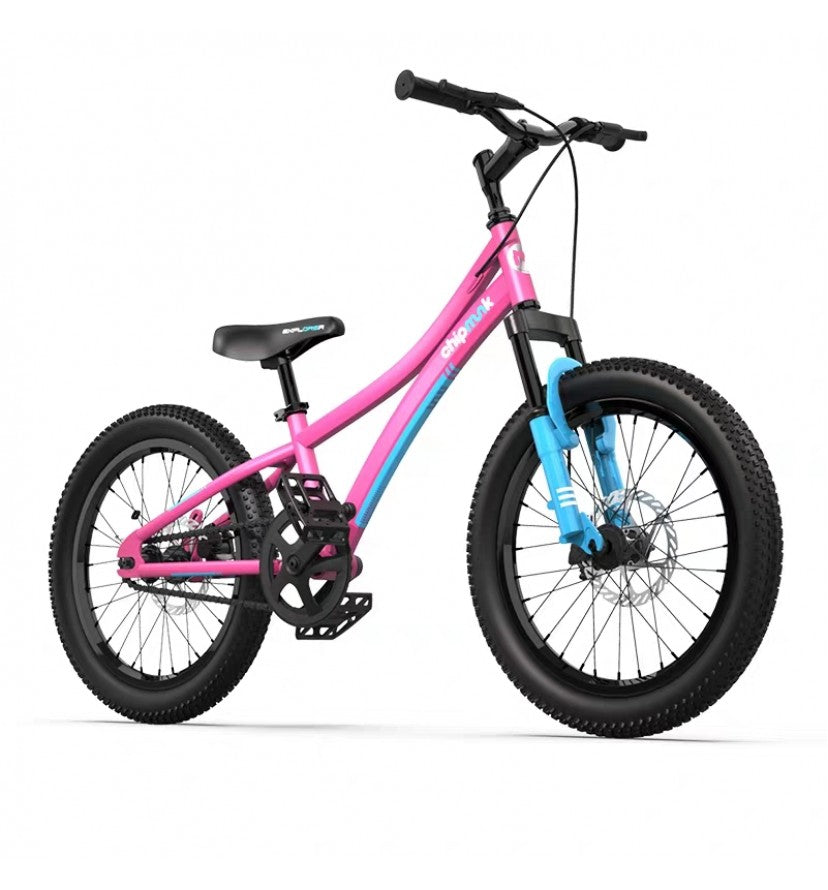Buy Chipmunk Bikes 20inch Pink | Yallatoys.com