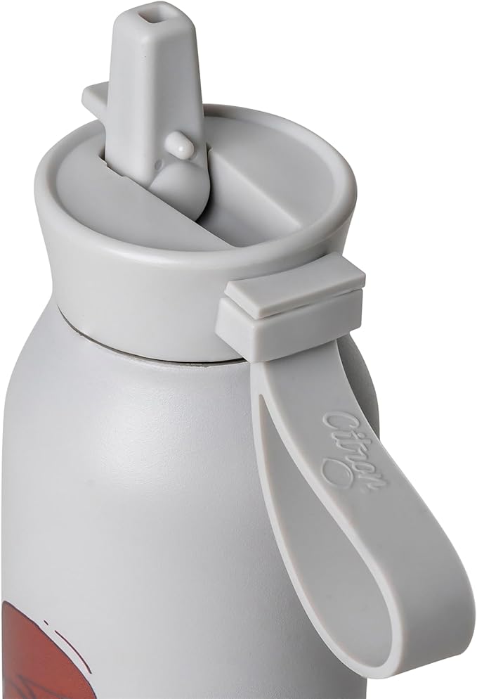 Buy Citron Stainless Steel Water Bottle Cool Kid 500ml | Yallatoys.com