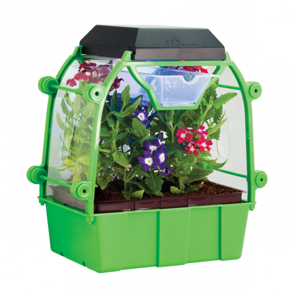 Buy Edu Toys My First Led Greenhouse for Kids | Yallatoys.com
