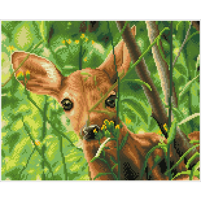 Buy Diamond Dotz Forest Babe Pre Framed Kit | Yallatoys.com